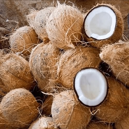 Semi-Husked Coconut