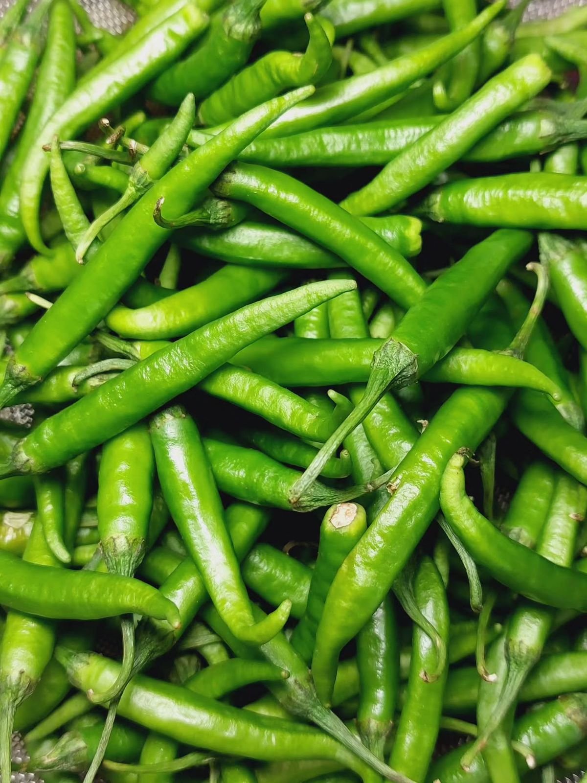 Green Chilly G4